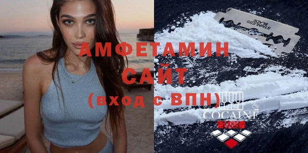 стаф Сосновый Бор