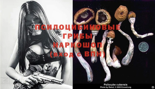 ALPHA PVP Горняк
