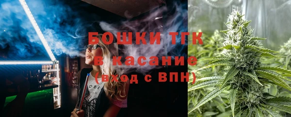 стаф Сосновый Бор