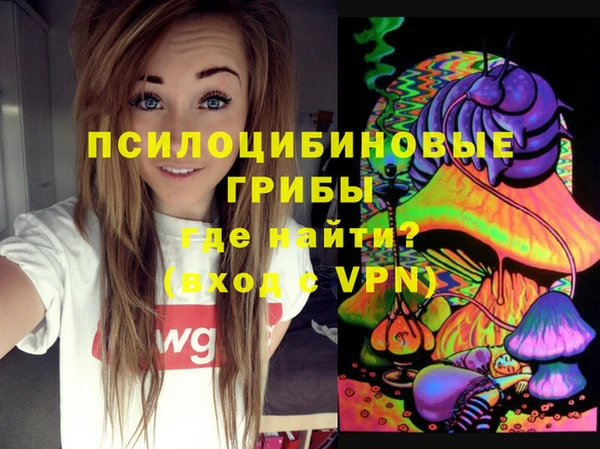 мяу мяу кристалл Горно-Алтайск