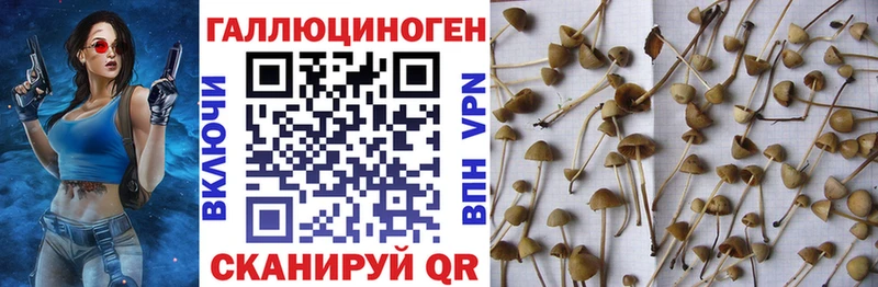 сайты даркнета формула  Ногинск  Галлюциногенные грибы прущие грибы 